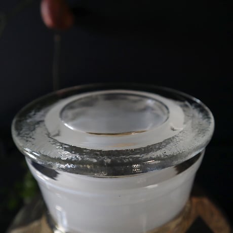 Botanical large bottle winter cherry (skeleton)