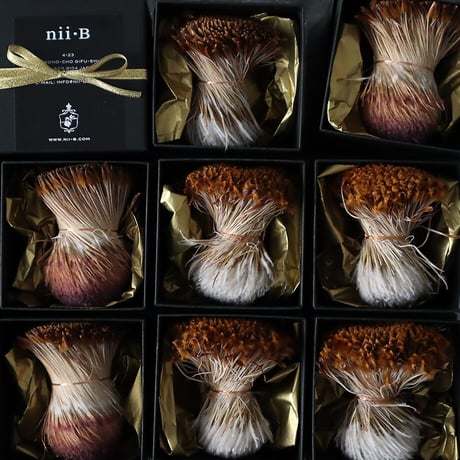 Botanical box protea