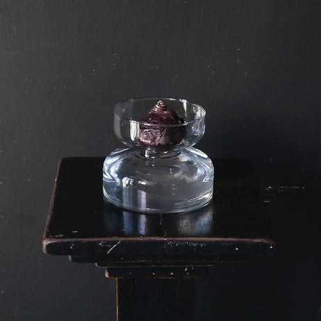 hyacinth bulb vase B