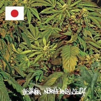 舐達麻『NorthrenBlue1.0.4.』