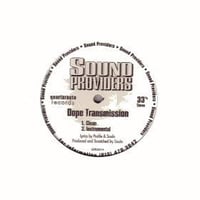 Sound Providers / The Field　中古/USED