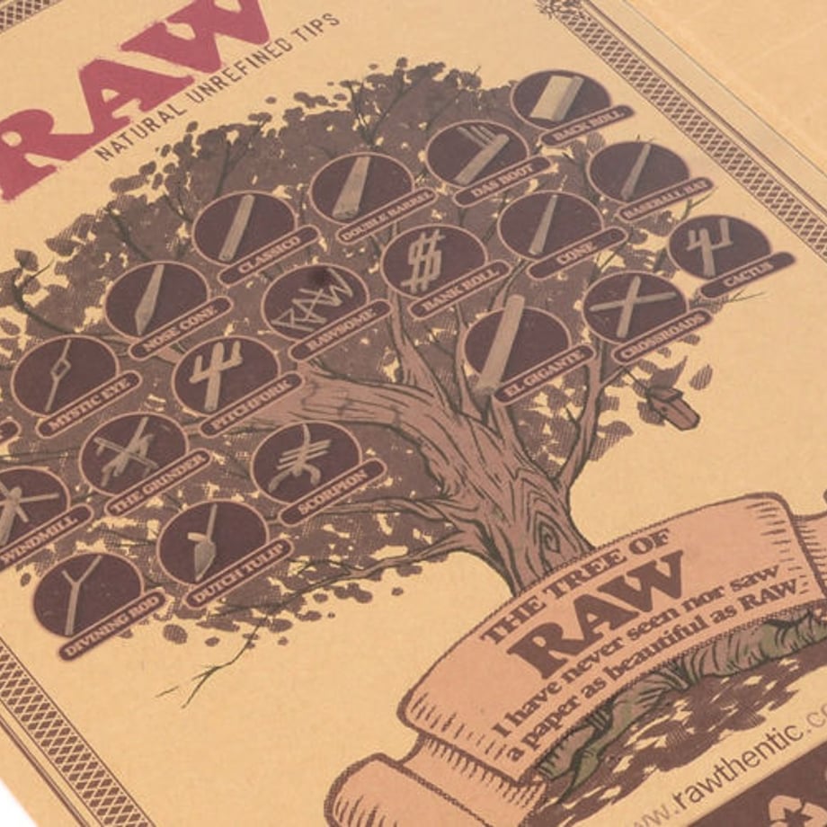587c1c811003150d6e01c324