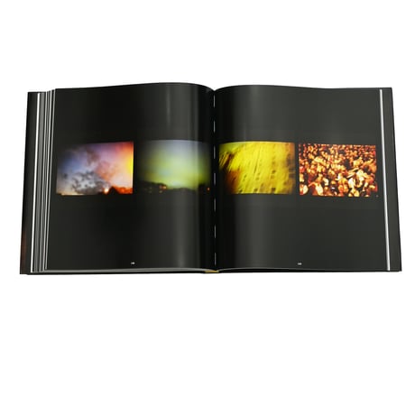 This Will Not End Well /NAN GOLDIN