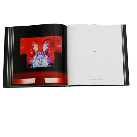 This Will Not End Well /NAN GOLDIN