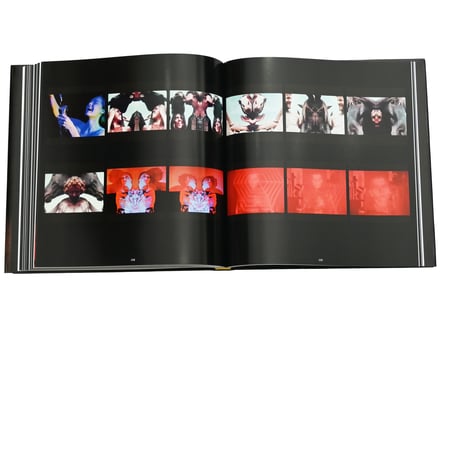 This Will Not End Well /NAN GOLDIN
