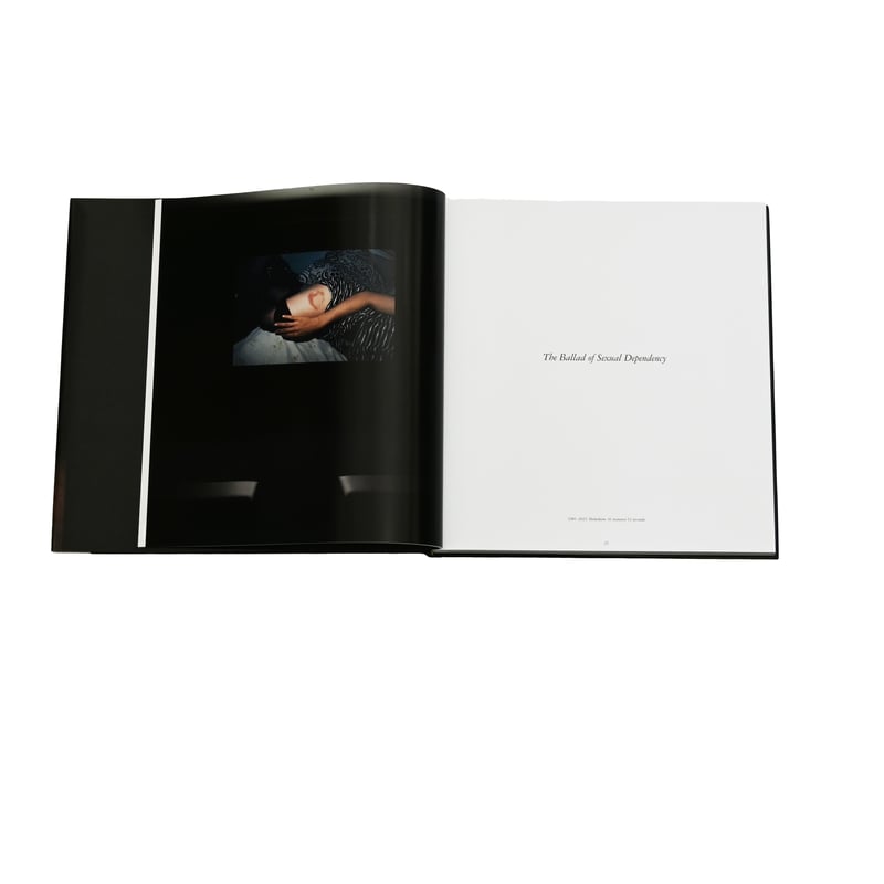 This Will Not End Well /NAN GOLDIN | SHUHARI