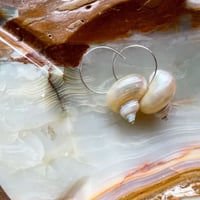 Luiny／Turbo Shell Earrings