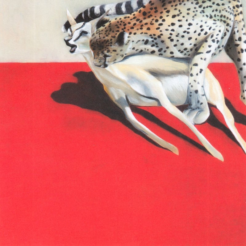 正方形ポストカード/square postcard | tanikonatsu