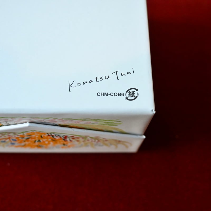 四角箱/box | tanikonatsu 四角箱/box | tanikonatsu