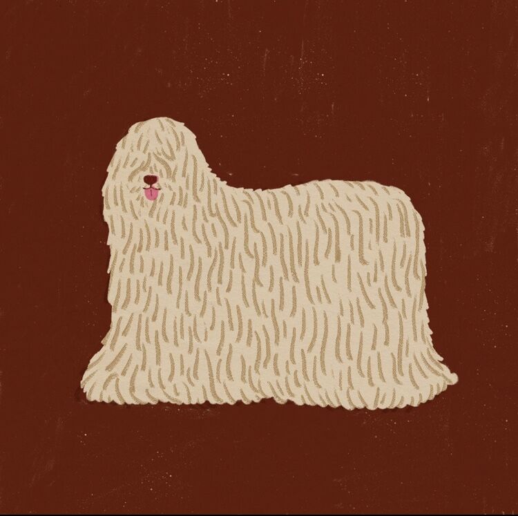 【中古】 Ｔｈｅ　ｄｏｇ　ｐｏｓｔｃａｒｄ　ｃｏｌｌｅｃｔｉｏｎ 年賀状・ポストカード素材集　永久保存版 ’０６/技術評論社 中古】 The dog postcard collection