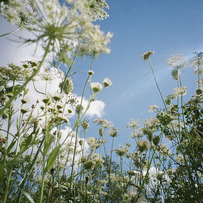 PENTAX ESPIO 120SW | YURI HANAMORI 