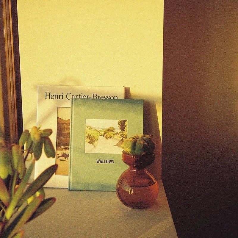 FUJIFILM cardia cute date | YURI HANAMORI 