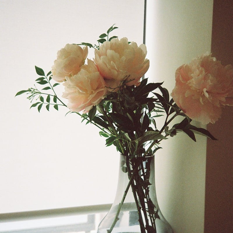 FUJI CARDIA HITE DATE | YURI HANAMORI 