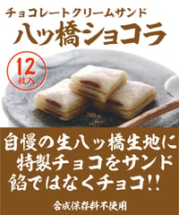 【12枚入】 八ッ橋ショコラ