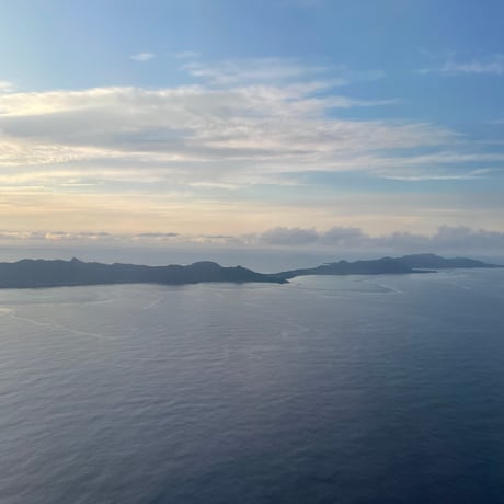 石垣島百花はちみつUrizun