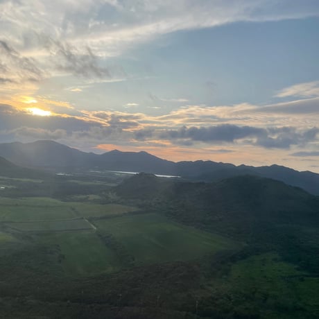 石垣島百花はちみつUrizun