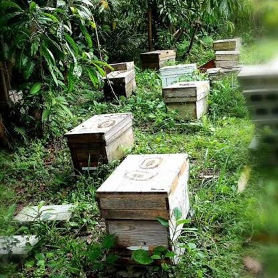5f70573d3ae0f458293bee0a
