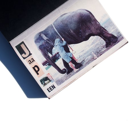 LOUS MARTENS  ANIMAL BOOKS
