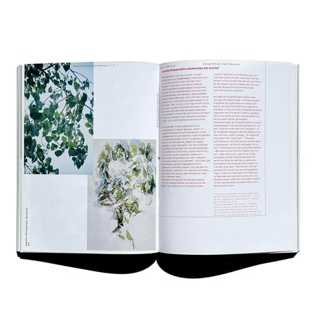 アウトレット fotograferen met Cézanne Jan van Toorn