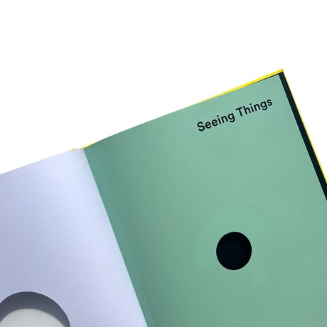 Seeing Things