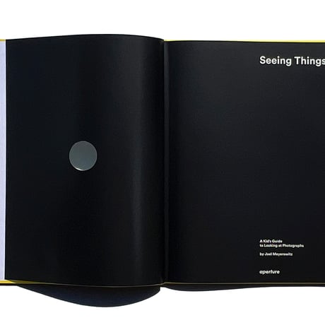 Seeing Things