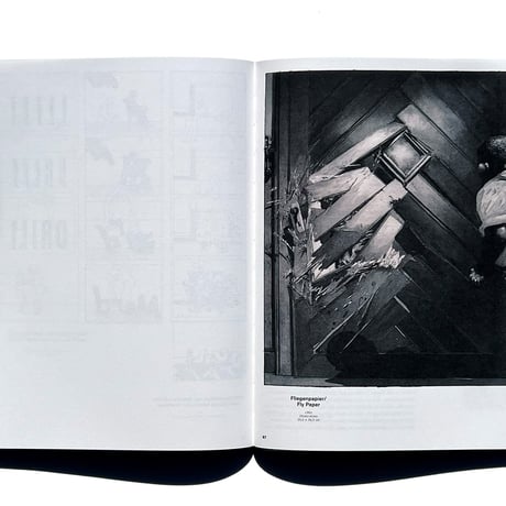 A5/01: Hans Hillmann - The Visual Works