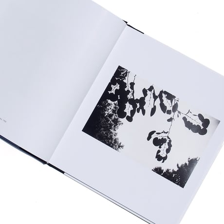 Ellsworth Kelly: Photographs