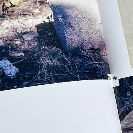 アウトレット fotograferen met Cézanne Jan van Toorn