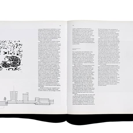 新書 New alpine architecture