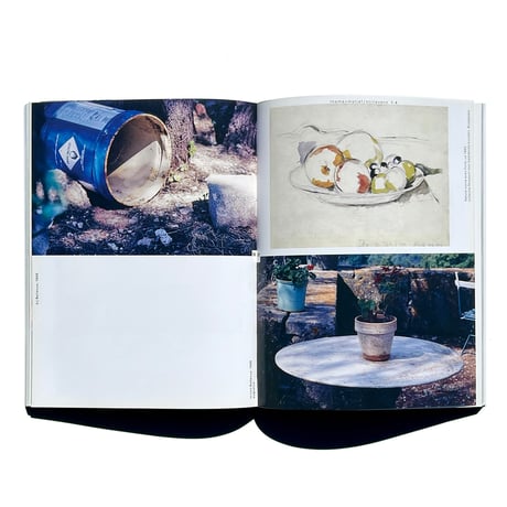 アウトレット fotograferen met Cézanne Jan van Toorn