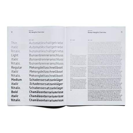 neue Easo® Type Specimen