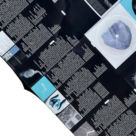 Squama Archive Poster