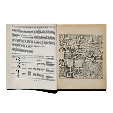 TM SGM RSI 10/1971