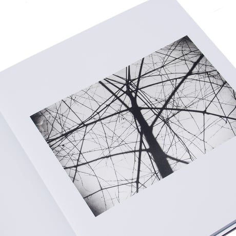 Ellsworth Kelly: Photographs