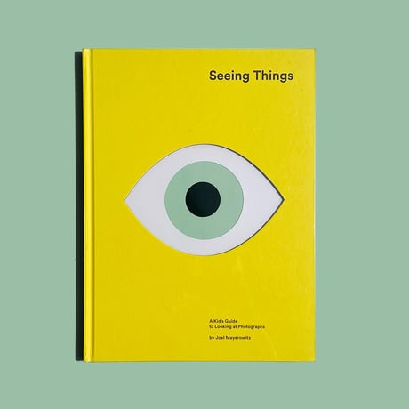Seeing Things