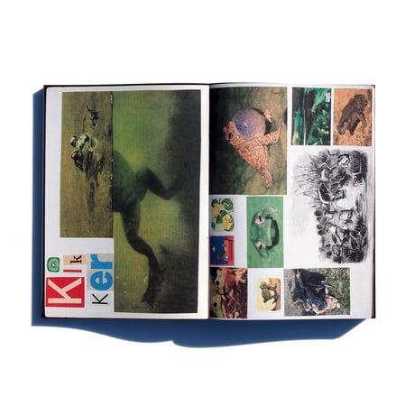 LOUS MARTENS  ANIMAL BOOKS