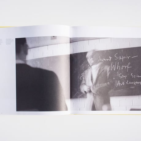 アウトレット Alex Wollner: Brasil Design Visual