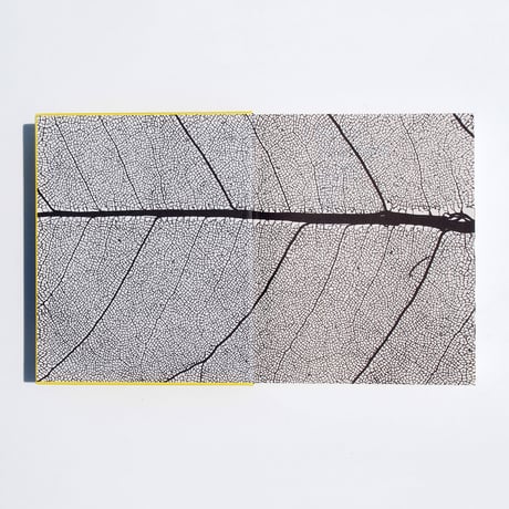Knoll Textiles, 1945-2010