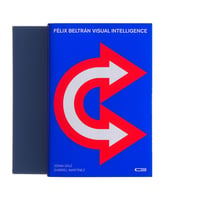 Félix Beltrán Visual Intelligence