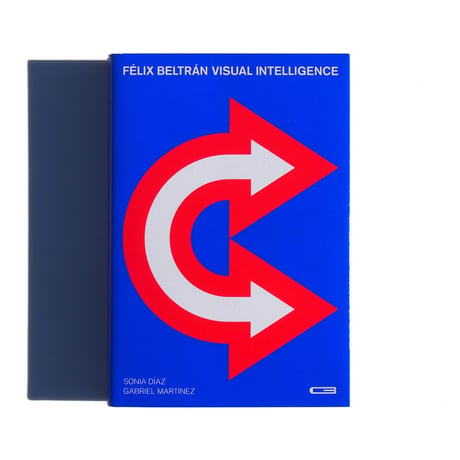 Félix Beltrán Visual Intelligence