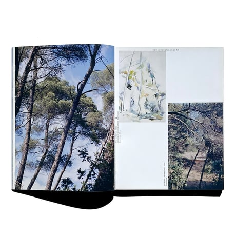 アウトレット fotograferen met Cézanne Jan van Toorn