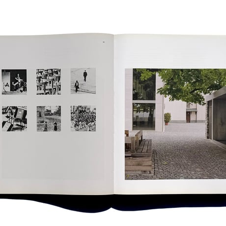 新書 New alpine architecture