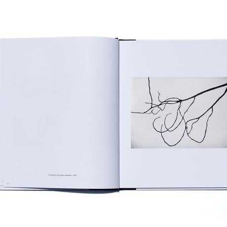 Ellsworth Kelly: Photographs