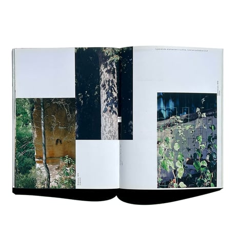 アウトレット fotograferen met Cézanne Jan van Toorn