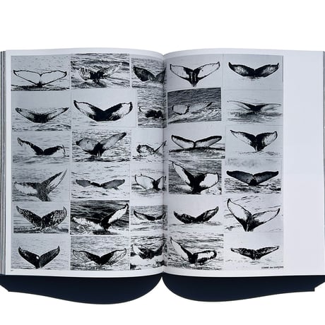 Tsuguya Inoue Graphics 1981-2024
