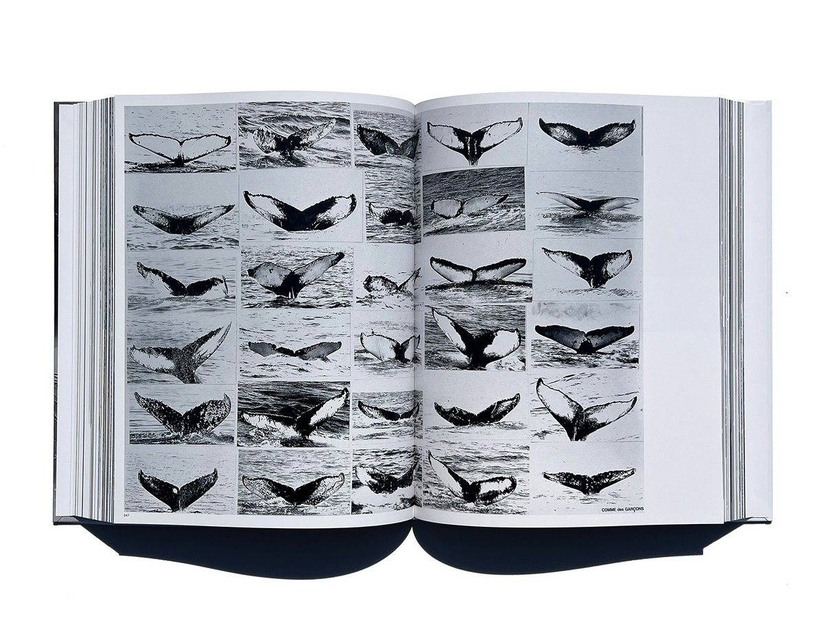 Tsuguya Inoue Graphics 1981-2024 | also PAGE SP