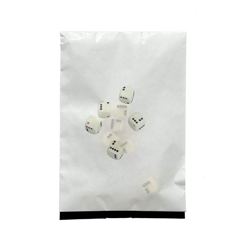 Five Dice Mark Manders | also PAGE SPREAD