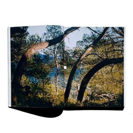 アウトレット fotograferen met Cézanne Jan van Toorn