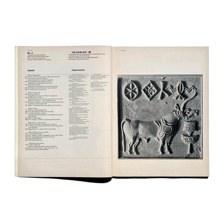 TM SGM RSI 2/1968
