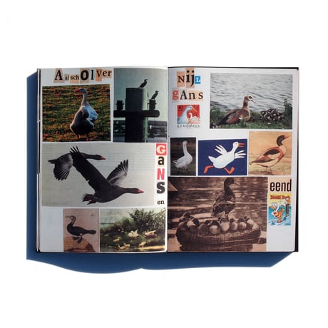 LOUS MARTENS  ANIMAL BOOKS